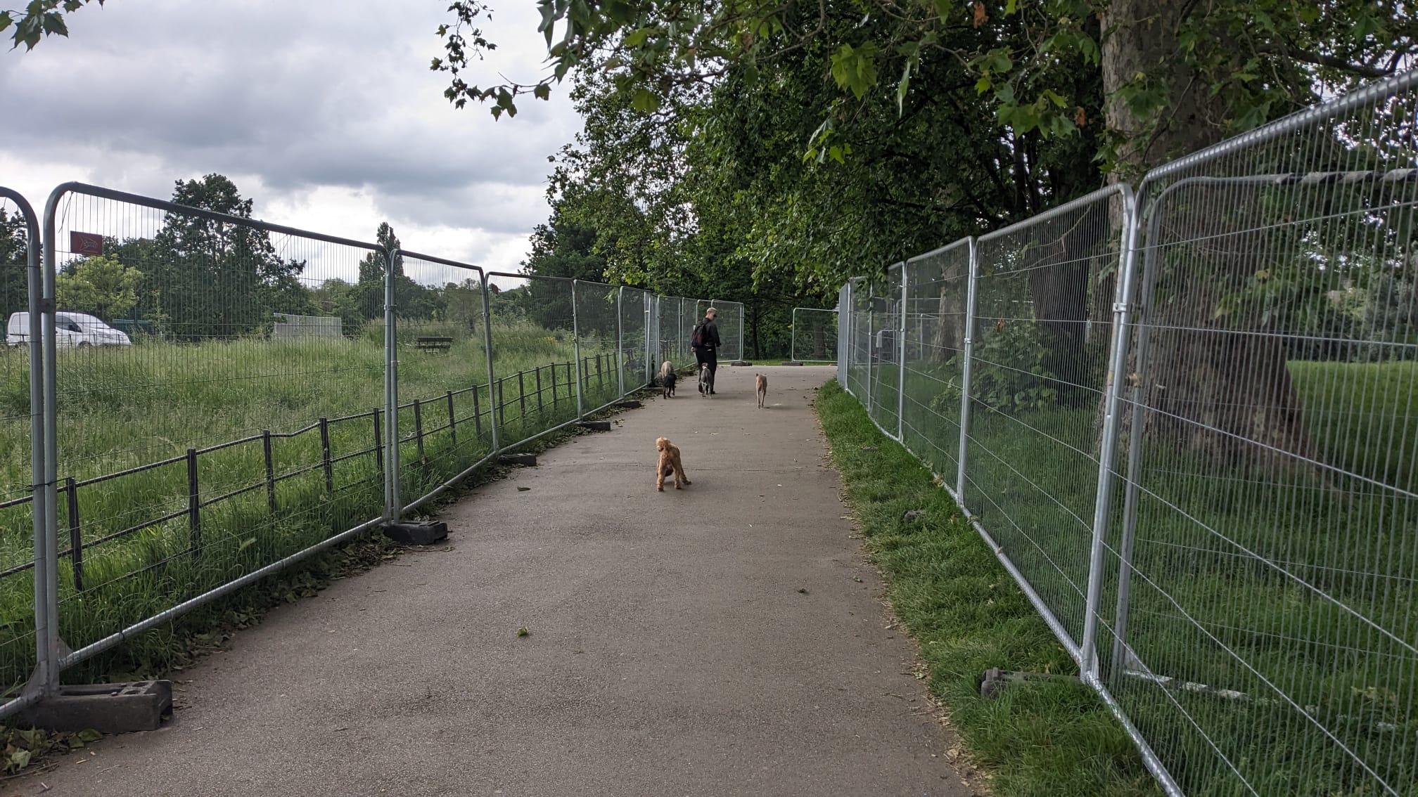 harris fencing prevents a dog walker from accessing brockwell park